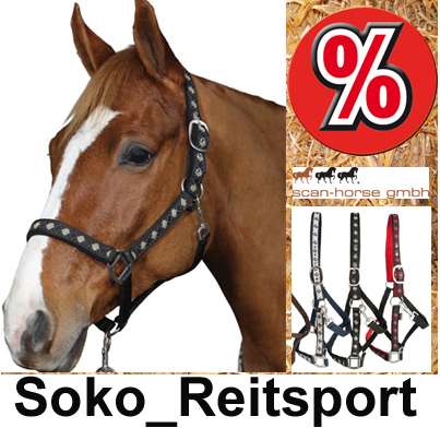 Partnersuche tönisvorst