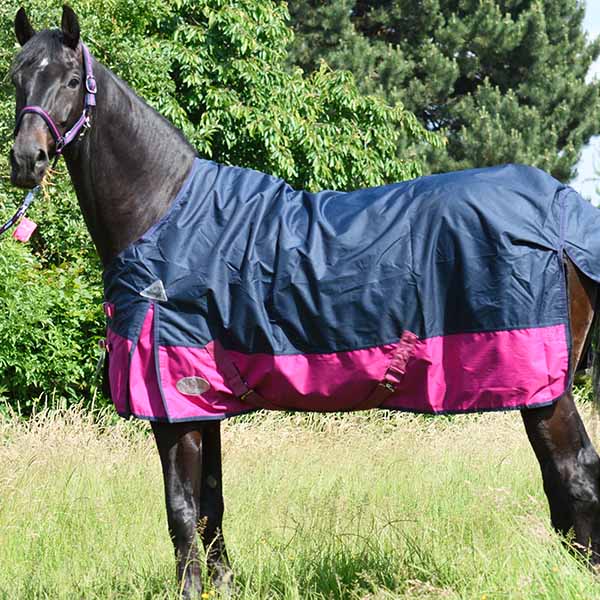 Daselfo-Regendecke-BasicLine-Lech-Outdoordecke-Weidedecke-Stalldecke-Paddock-TOP